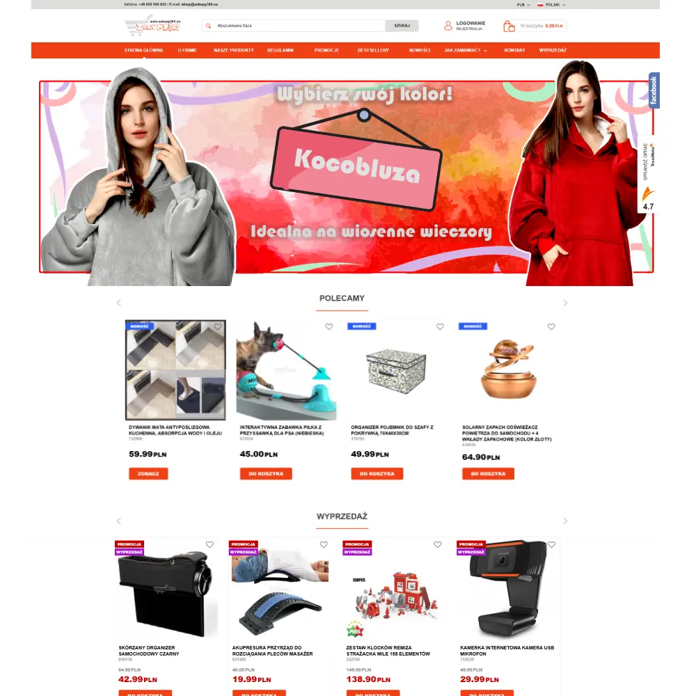 zakupy365.eu przed modernizacją